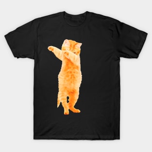 Dabbing Cat Kitten Funny Dab Dance Kitty Funny Gift T-Shirt